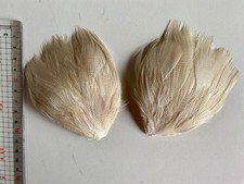 2 antike schöne  Hut Federn